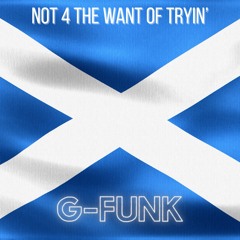 Not 4 The Want Of Tryin'