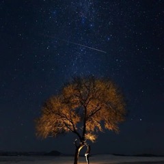 فكيف لا ندافع عنه !! صلى الله عليه وسلم  | د. أحمد سيف الإسلام