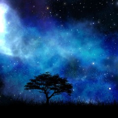 Shimmer