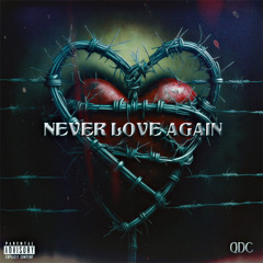 Never love again (Official Audio)