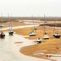 LowTide_r3_session