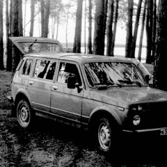 ZWEIGELT - die flucht