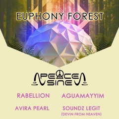 Euphony Forest "The Bass Dome" Live