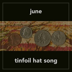 Tinfoil Hat Song