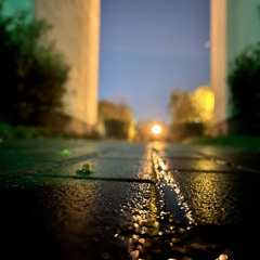 machonisgone - rzucam petem o chodnik