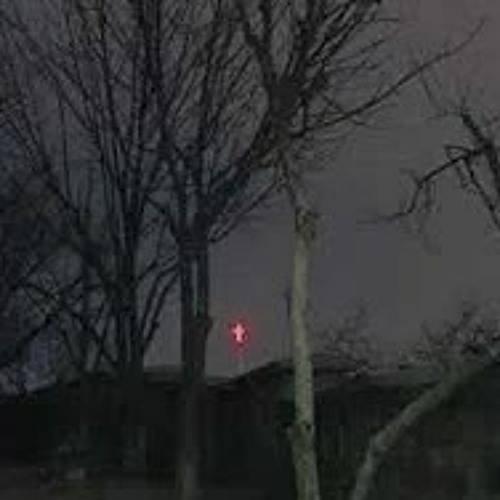 hate everyone trust no one