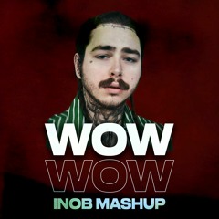 Post Malone - Wow (INOB Mashup)| SPACELAG |