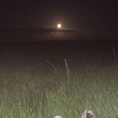 is my heart your home?