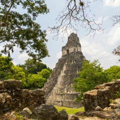 What’s right: Mexico, Guatemala & Belize Unite to Save the Jungle
