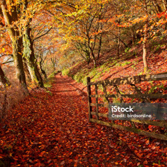 Autumn