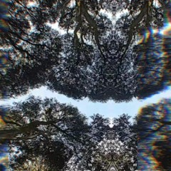 Soundscapes - COL-Lage zu den Political Art Days 2021