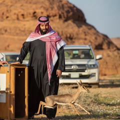 مدهلك قوم القنص ما ياصلونه