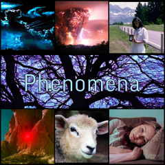 Phenomena