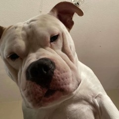 scoot x tip - skywalkers @ scoot xk