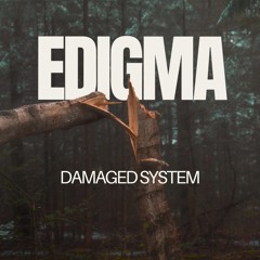 Damaged System