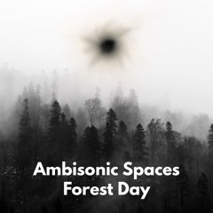 Forest Day Binaural