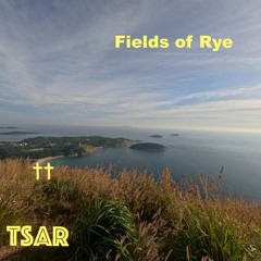 Fields of Rye