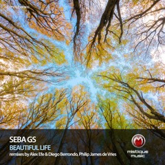 Seba GS - Beautiful Life (Original Mix)