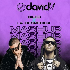 Bad Bunny X Daddy Yankee - Diles X La Despedida (David M Mashup)