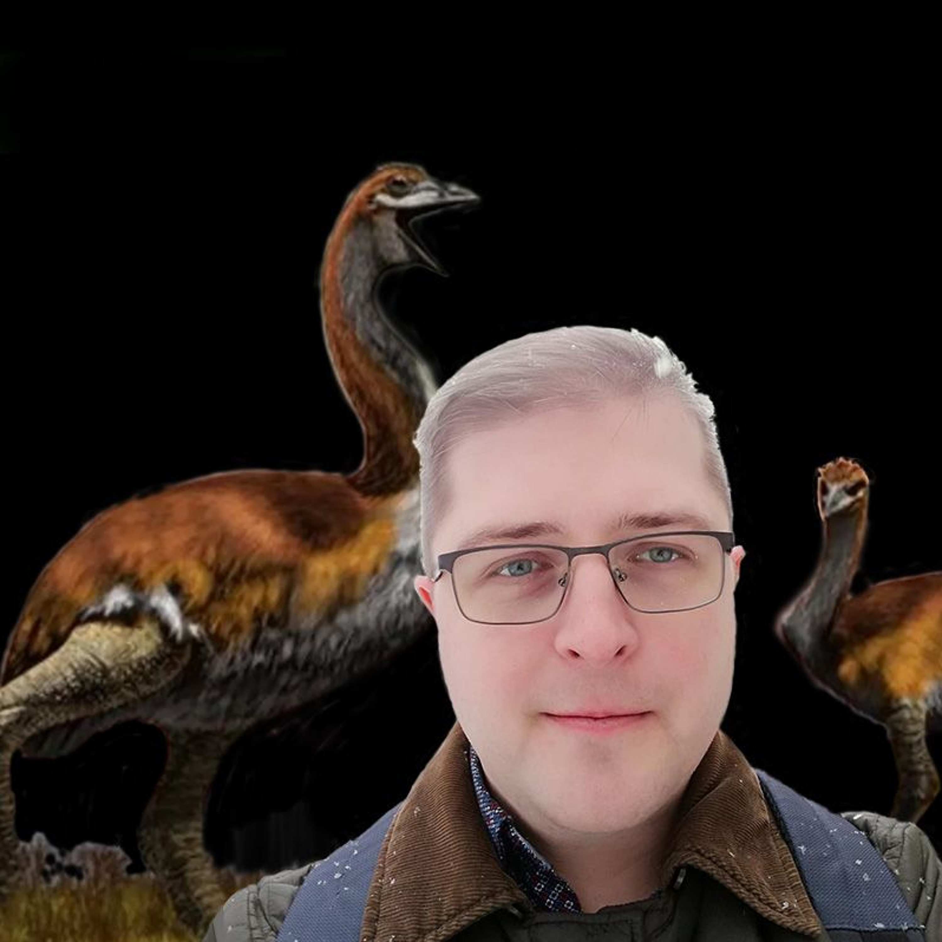 Planeta ant delno #15: ką apie evoliuciją pasakoja kiaušiniai ir vandenynas, dvelkiantis puvėsiais episode artwork