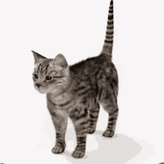 mifka