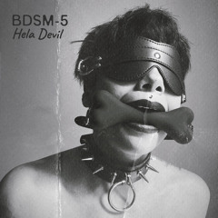 BDSM-5