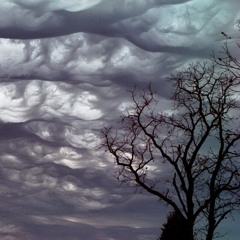 The Devil's Cloud's [free]