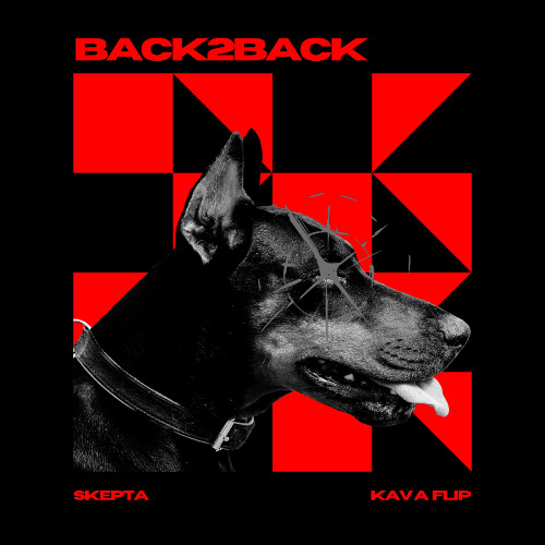 FRED AGAIN x SKEPTA - BACK 2 BACK (KAVA FLIP)