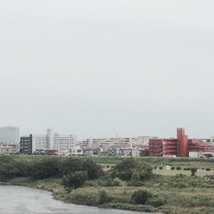 SY