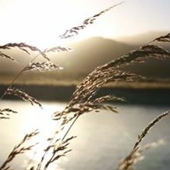 الحلقة الخامسة من سلسلة وفيهم نزل القرآن - إغرس الفسيلة وثمرتها على الكريم