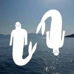 A felszín alatti vizek áramlása