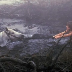 Artax, please. Don't let the sadness of the swamps get to you.