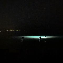 un'altra notte di miele