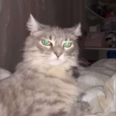 baddest of them all (sped up remix)