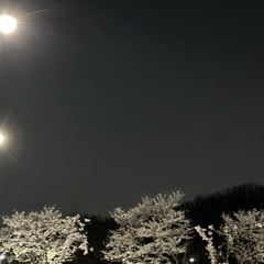 SOMEDAY AGAIN (W. heeheon)