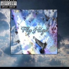Fly High (PIGEON RAP)-Dmoney