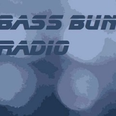 Bass Bunker Radio #85 Belly Up Up Down Down LRLR Tech House mix w MrDeniZen