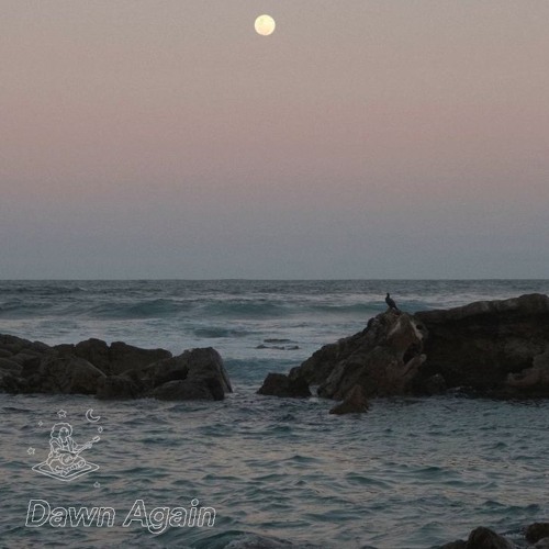 Apricot 65: Dawn Again