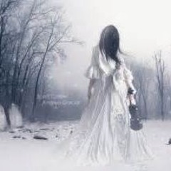 Wonder Winterland Remastered 2024