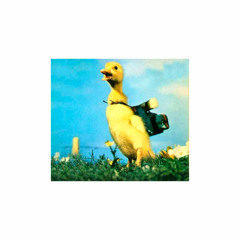 L'improbable escapade du canard hilare (Shining Path Mixx II)