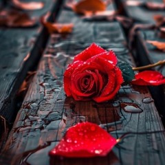the promise of love