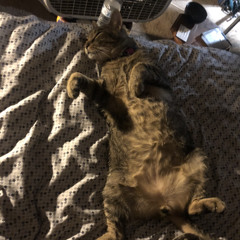 Prince Jefe x 08.28 Freestyle