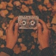 Autumn Vibes