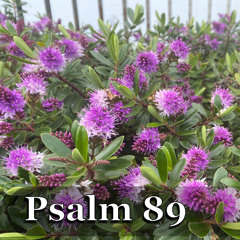 Psalm 89