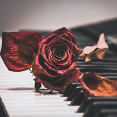 Weightless Melody