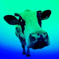 Polish cow (Dance Remix)