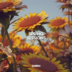 Spring Sessions Mix: 017