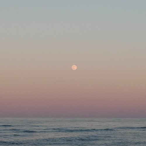ocean of my own