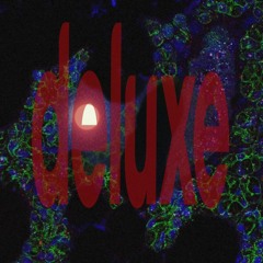 Flex (ft. Yallowdie)