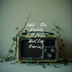 Zedd - The Middle (MRocks Bootleg Remix)